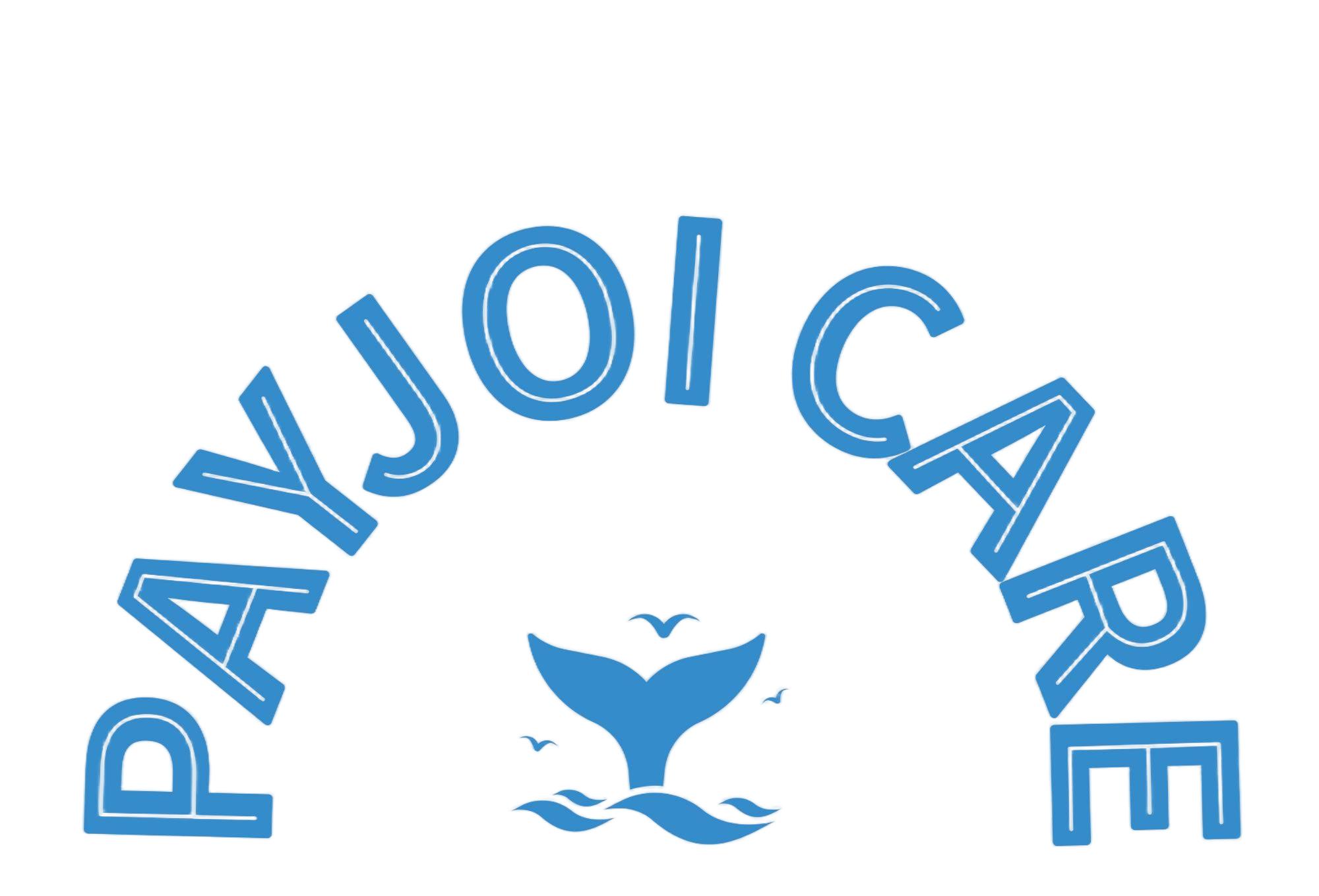 PayJoi官网